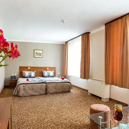 Family Romantika 3* Βέλινγκραντ